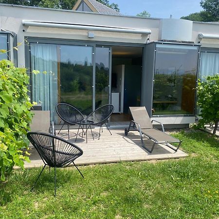 *Brandnew* Modernes Apartment In Den Weinbergen Mit Pool Und Sauna Spielfeld Buitenkant foto
